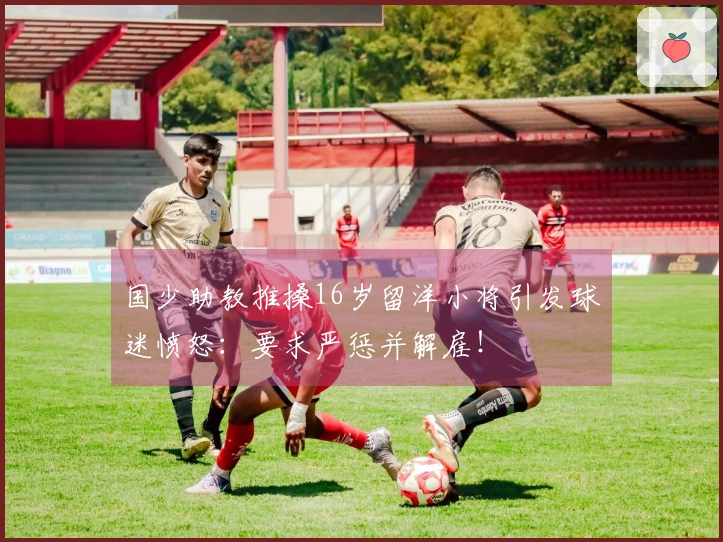 国少助教推搡16岁留洋小将引发球迷愤怒：要求严惩并解雇！